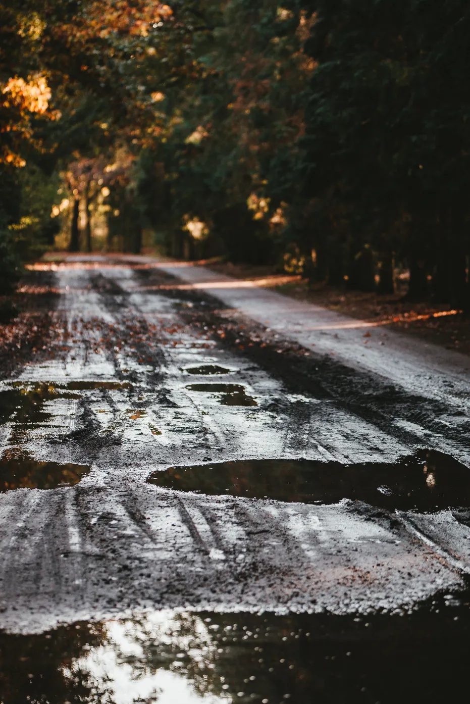 Go to Sleep to Wake Up