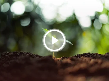 Growing your business