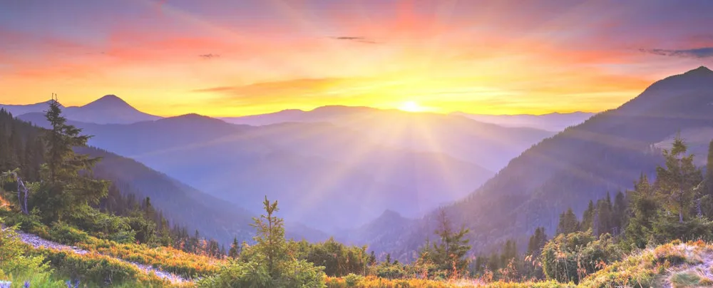 HELPING THOSE WE LOVE 3